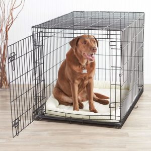 1 of the best crate for dogs