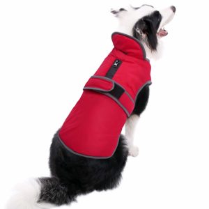 Our selection of the 2 best coats for dog