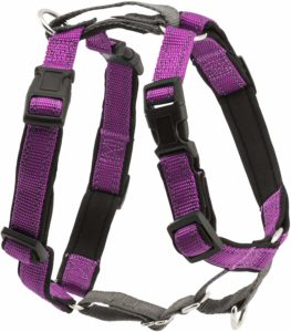 The 5 best harnesses for Miniature Schnauzer